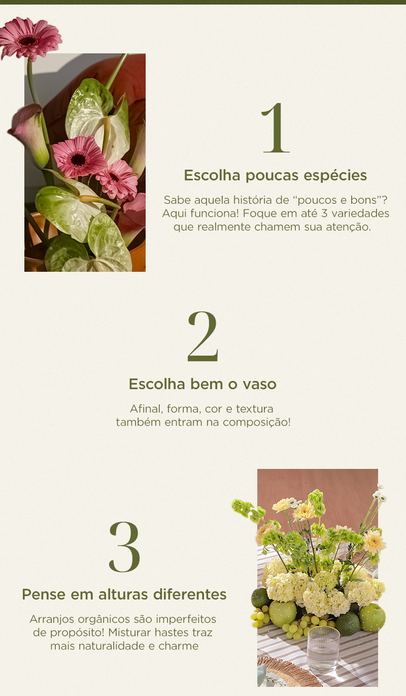 6 dicas