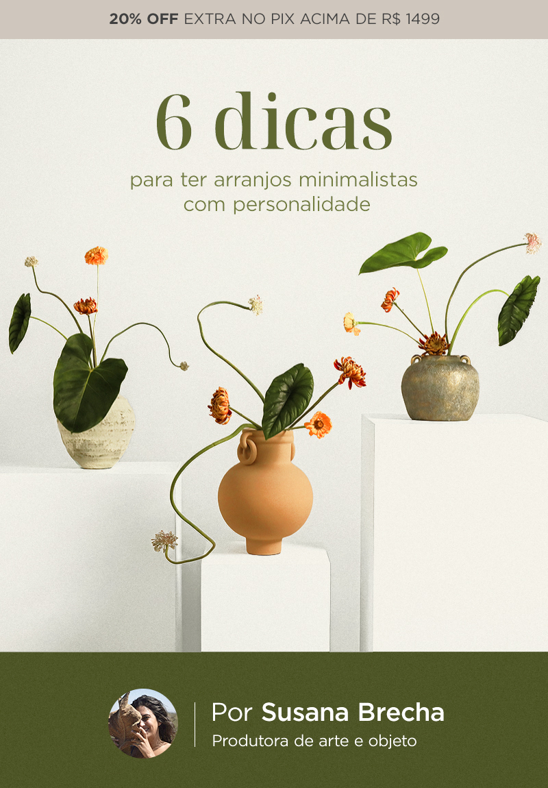 6 dicas