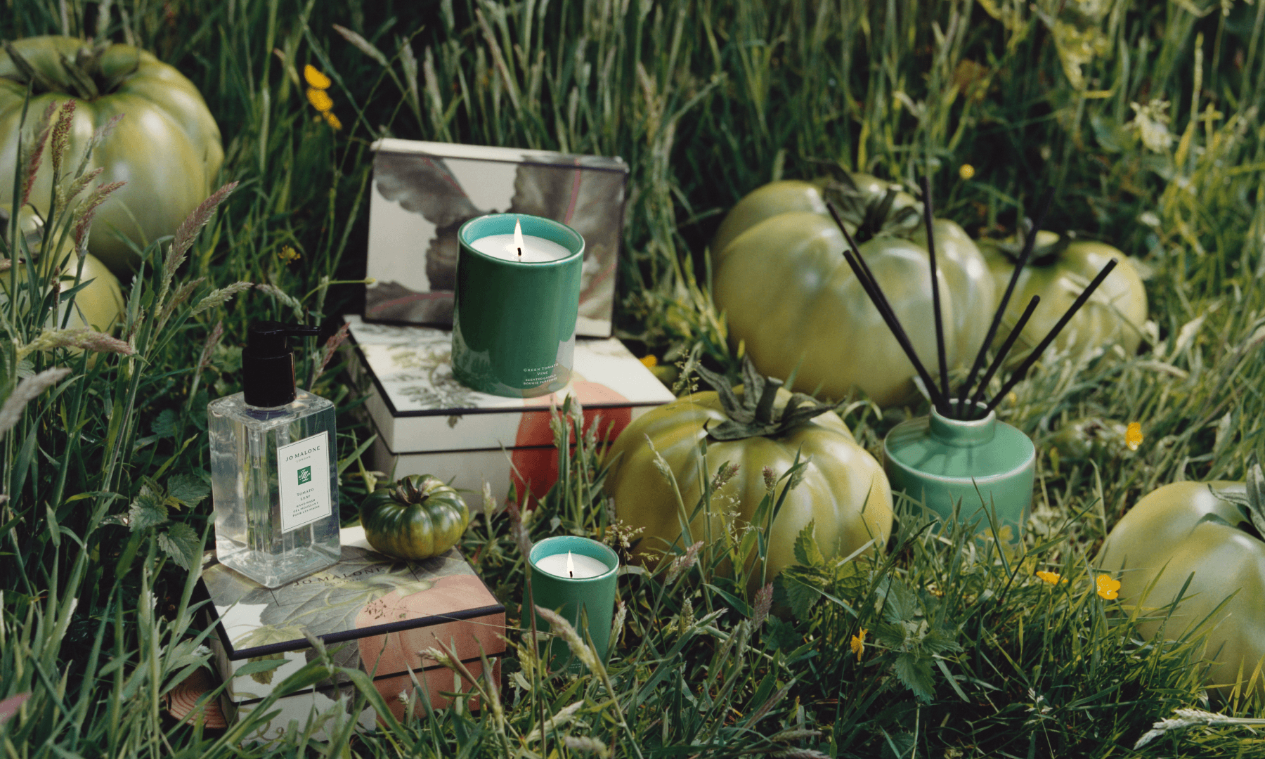 Decorative arrangement with Jo Malone Green Tomato Vine candles and Tomato Leaf Hand Wash, surrounded by small and large green tomatoes, in a grassy setting.