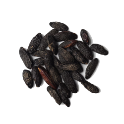 Ingredient: Tonka beans