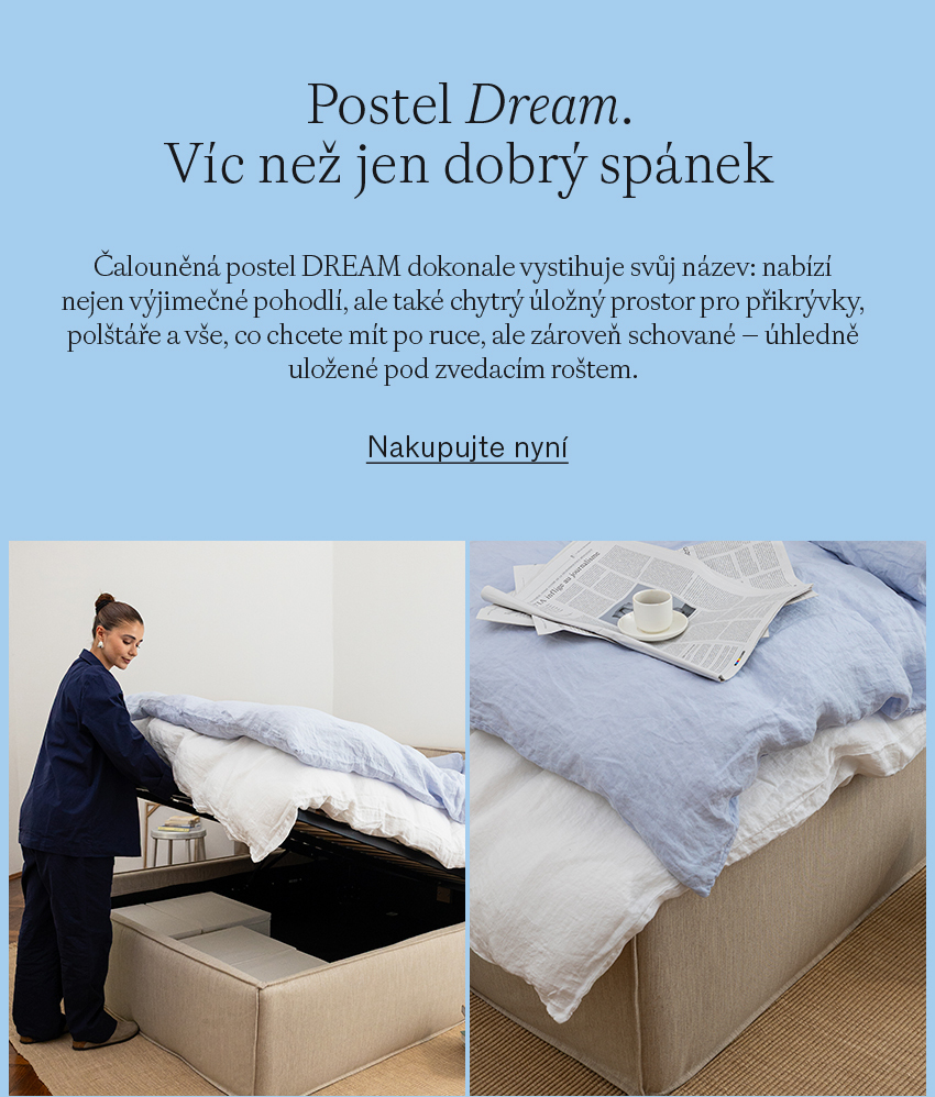Dream