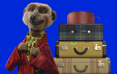 Meerkat stood next to stacked suitcases on a cobalt blue background
