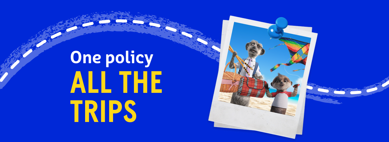 One policy, all the trips– travel insurance graphic with Compare the Market meerkats on a beach.