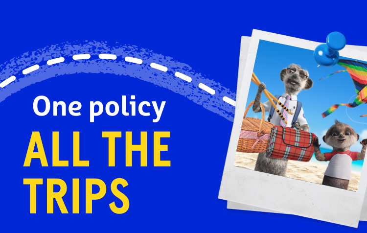 One policy, all the trips– travel insurance graphic with Compare the Market meerkats on a beach.