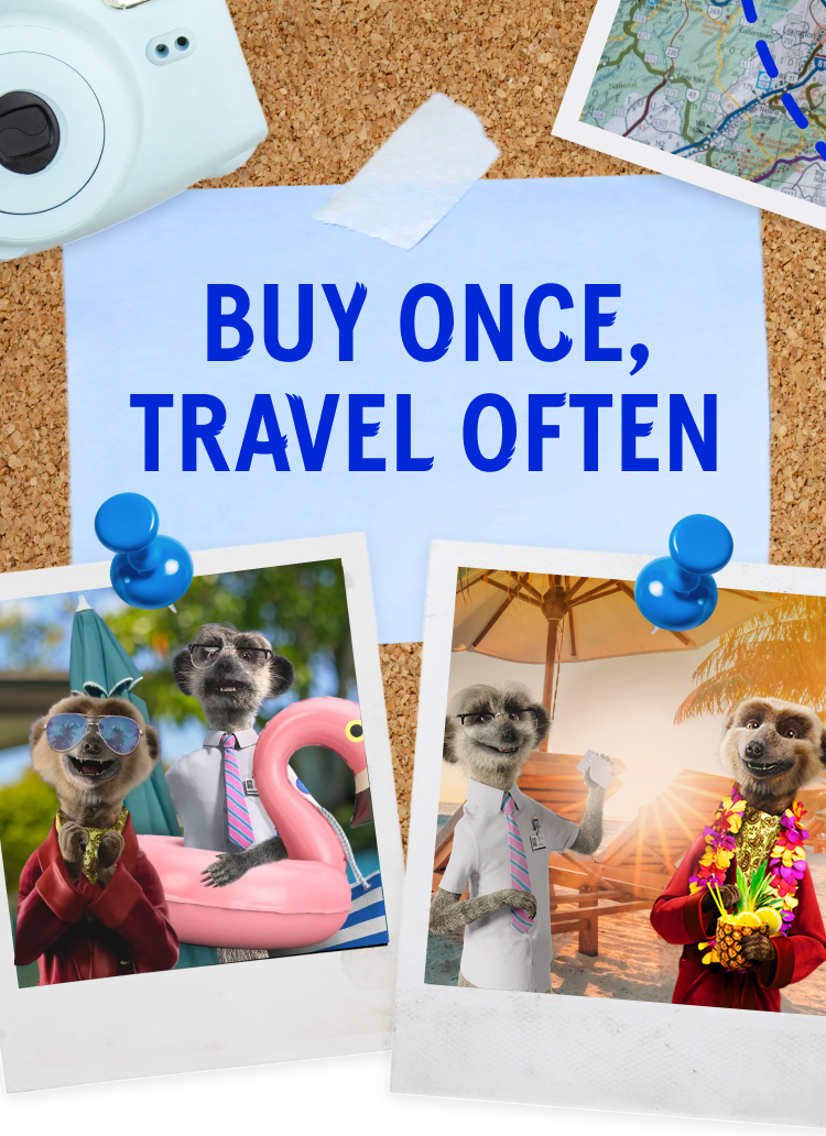 Buy once, travel often– holiday-themed image with Compare the Market meerkats.