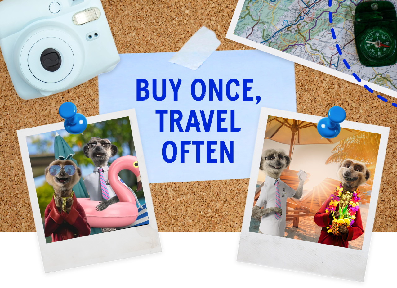 Buy once, travel often– holiday-themed image with Compare the Market meerkats.