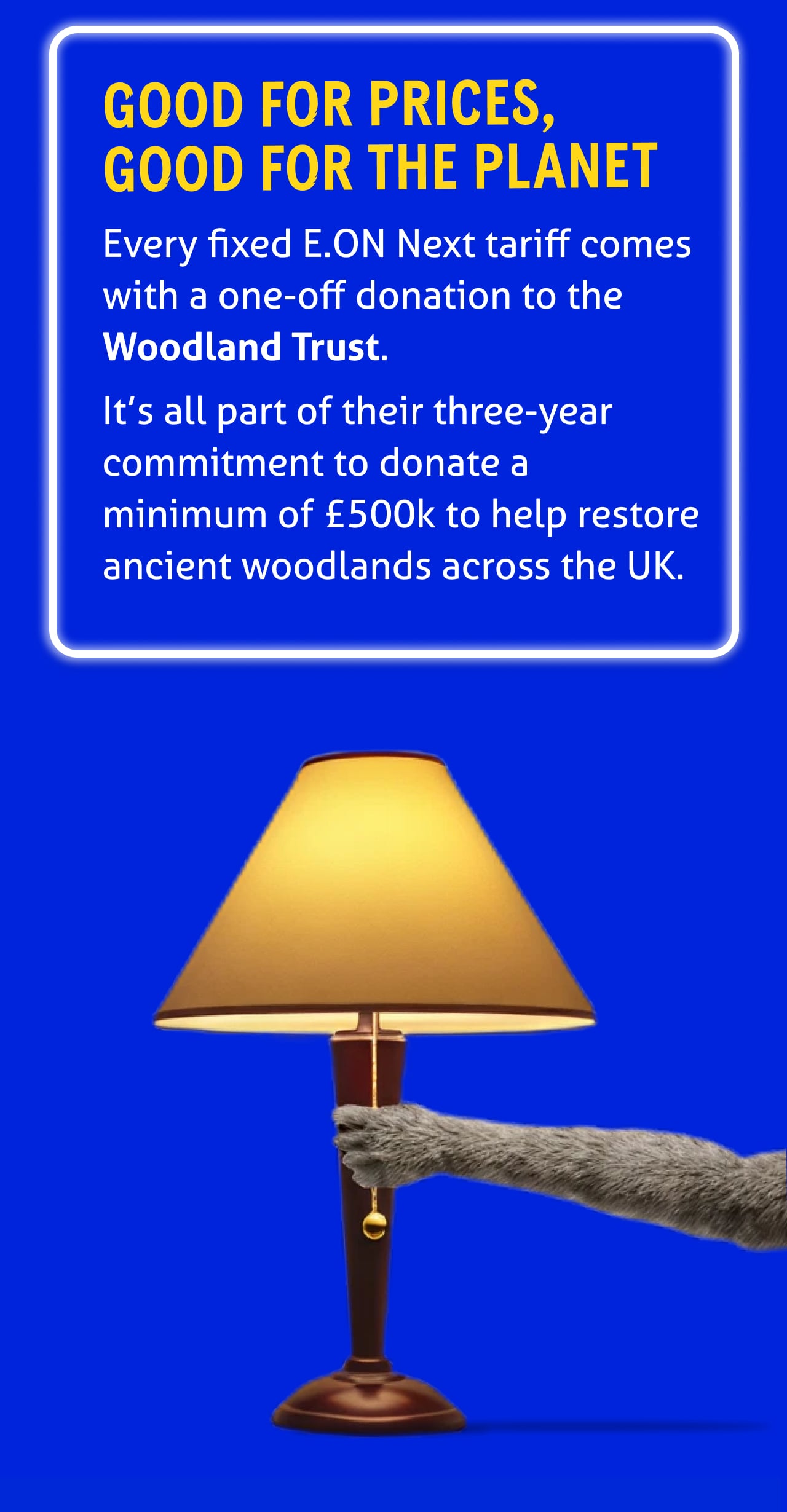 "Good for the prices, good for the planet

Every fixed E.ON Next tariff comes with a one-off donation to the Woodland Trust.

It’s all part of their three-year commitment to donate a minimum of £500k to help restore ancient woodlands across the UK."