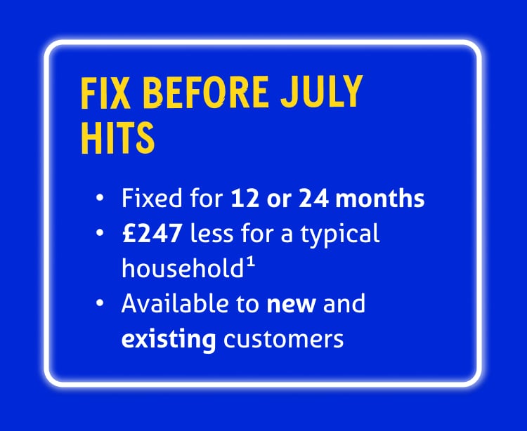 "Fix before July hits

• Fixed for 12 or 24 months
• £247 less for a typical household1
• Available to new and existing customers"