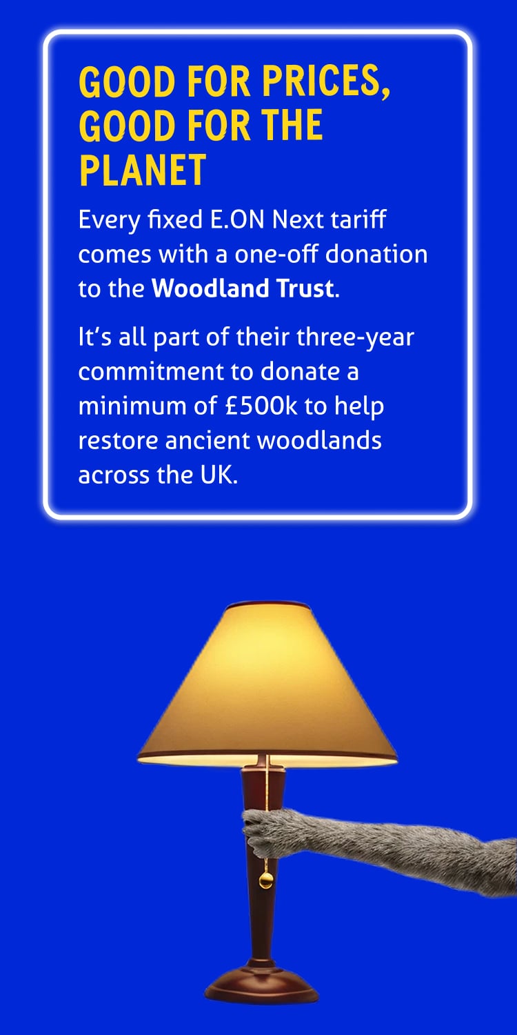"Good for the prices, good for the planet

Every fixed E.ON Next tariff comes with a one-off donation to the Woodland Trust.

It’s all part of their three-year commitment to donate a minimum of £500k to help restore ancient woodlands across the UK."