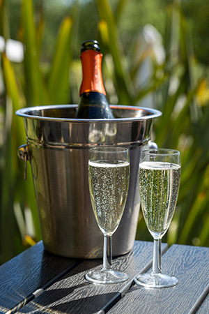 Bottle of fizz