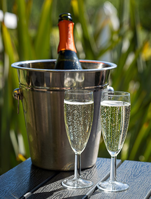 Bottle of fizz