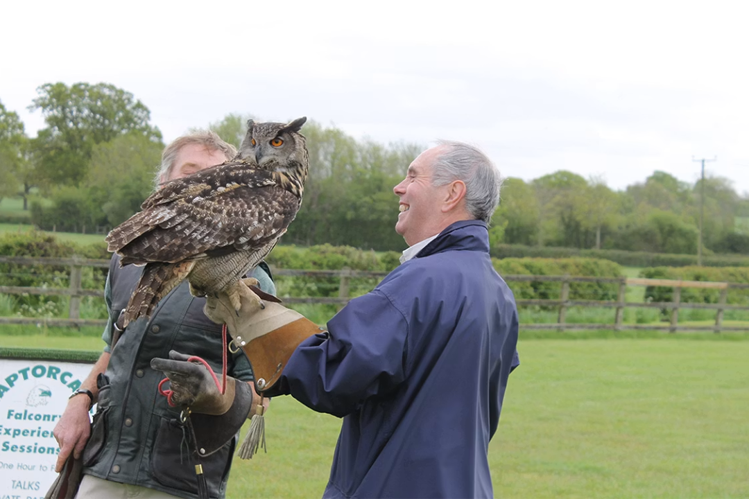 Falconry