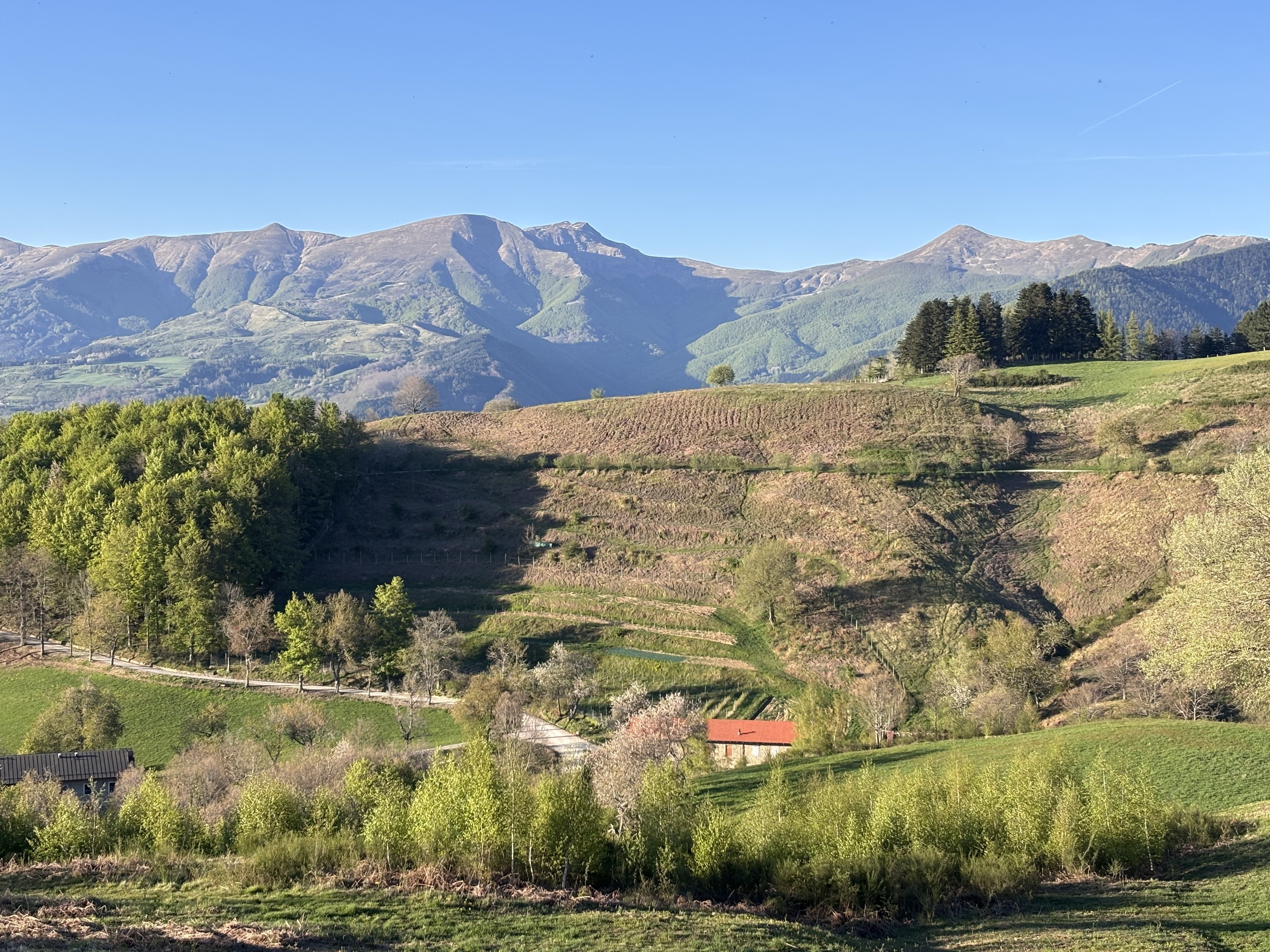 The Oasi Dynamo in the municipality of San Marcello Piteglio is a WWF-affiliated nature reserve 
