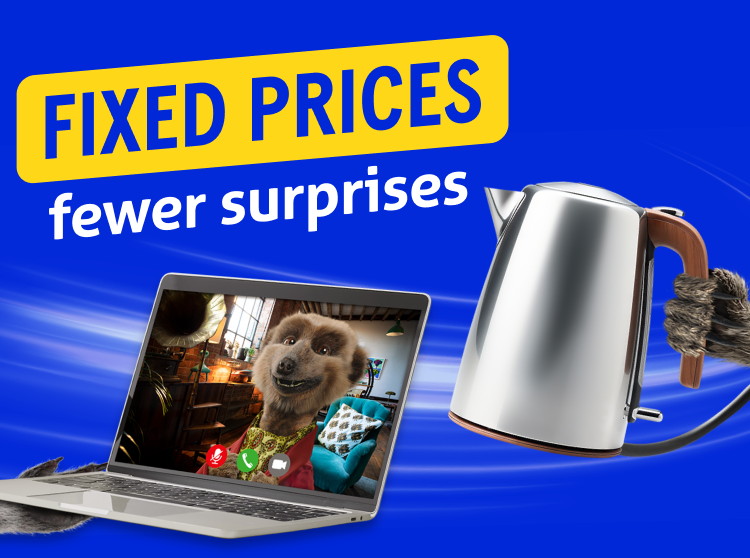 Fixed prices, fewer surprises