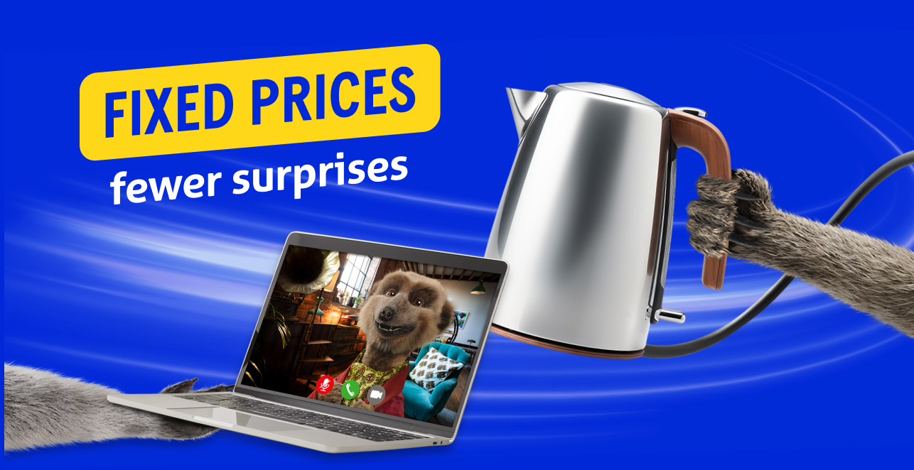 Fixed prices, fewer surprises