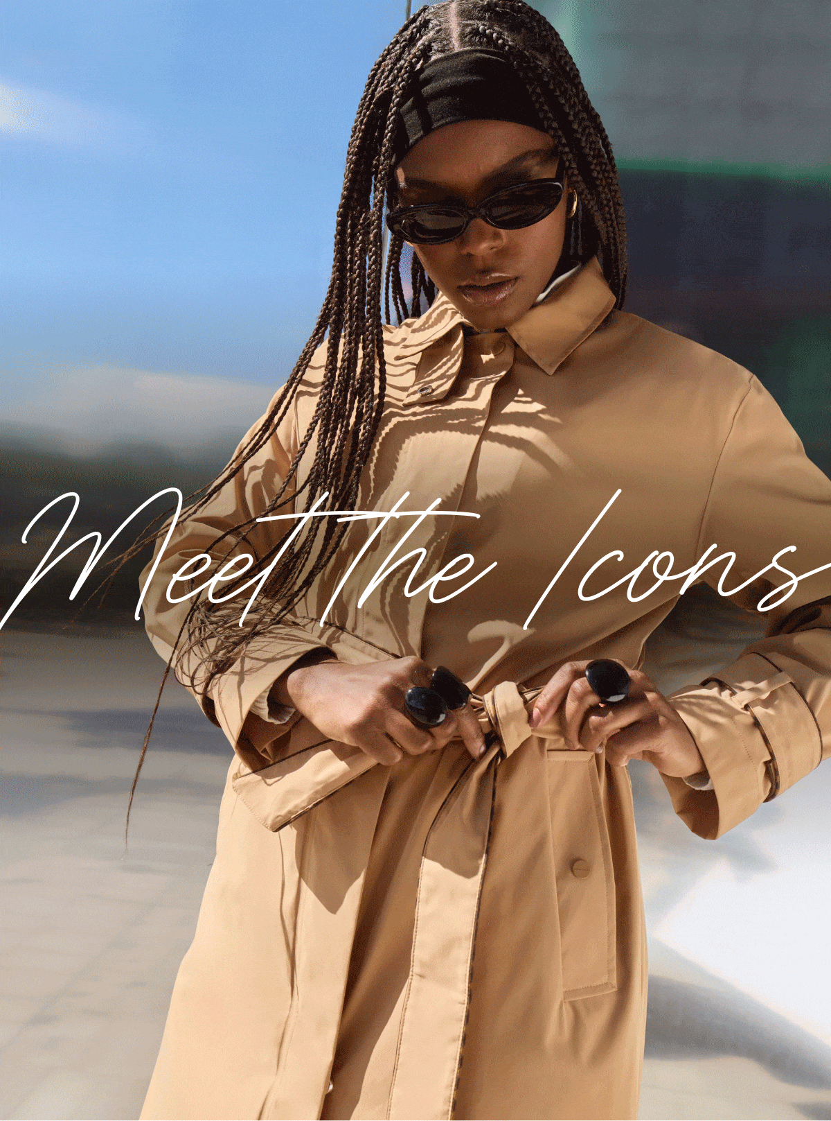 Meet the icons