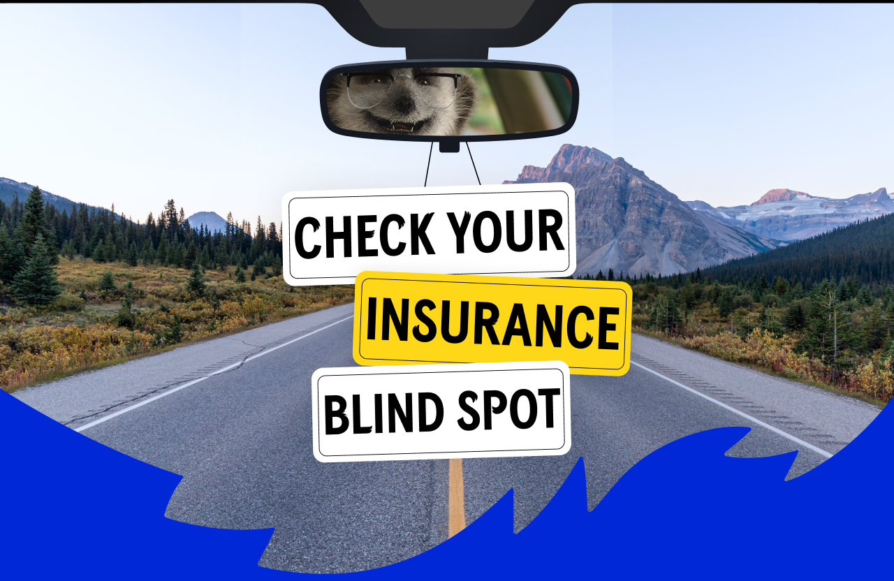 Check your insurance blind spot