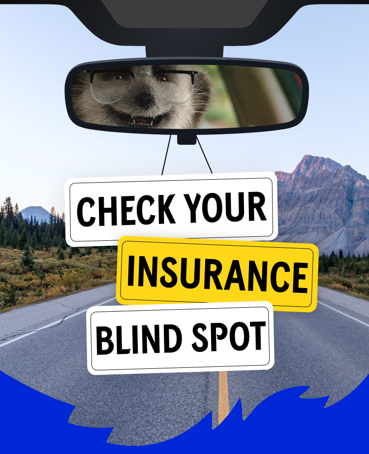 Check your insurance blind spot