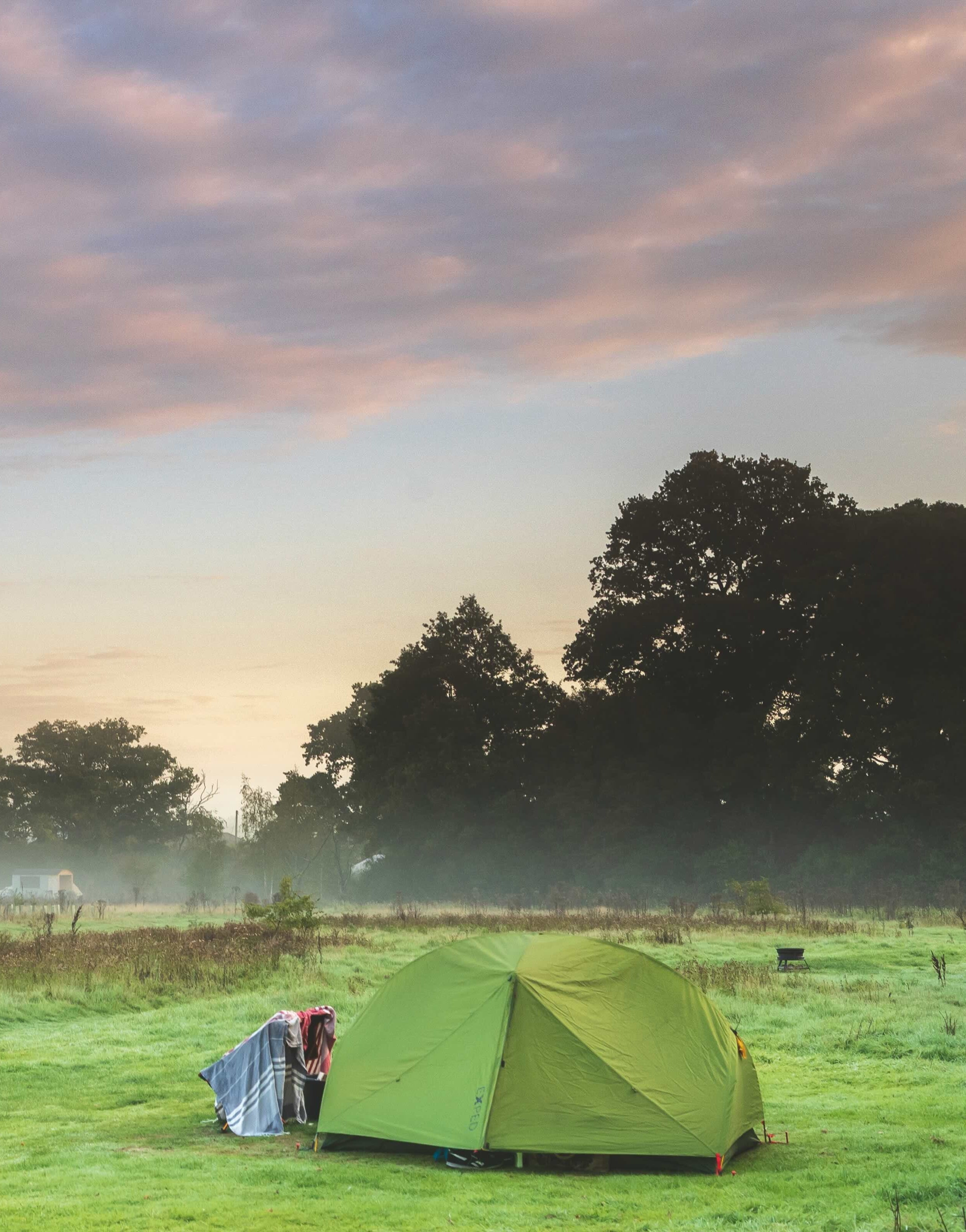  The Knepp Estate’s 3,500 acres have been transformed by a rewinding project (Harper Collins)