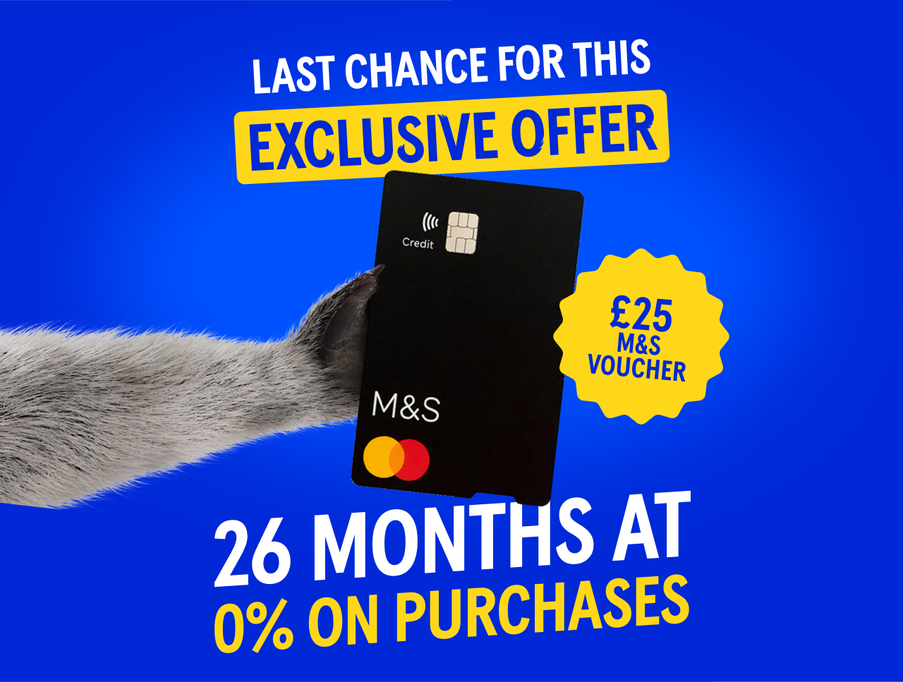 Exclusive offer: £25 M&S voucher when you take out a M&S Purchase Plus credit card