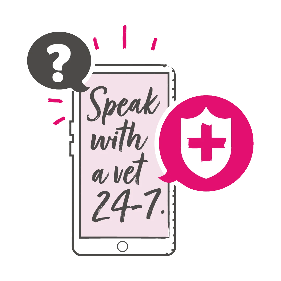 Online vet support icon