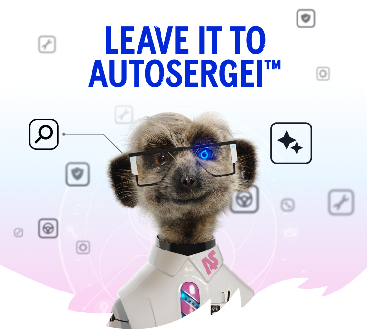 Image of AutoSergei