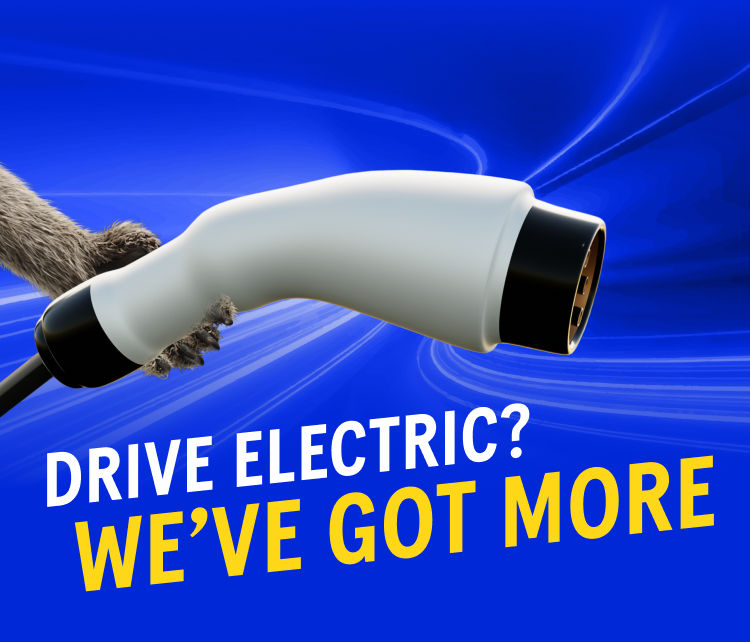 Drive electric? We've got more