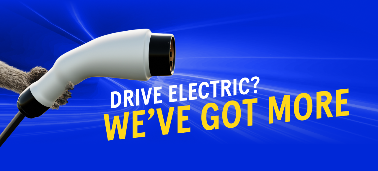 Drive electric? We've got more
