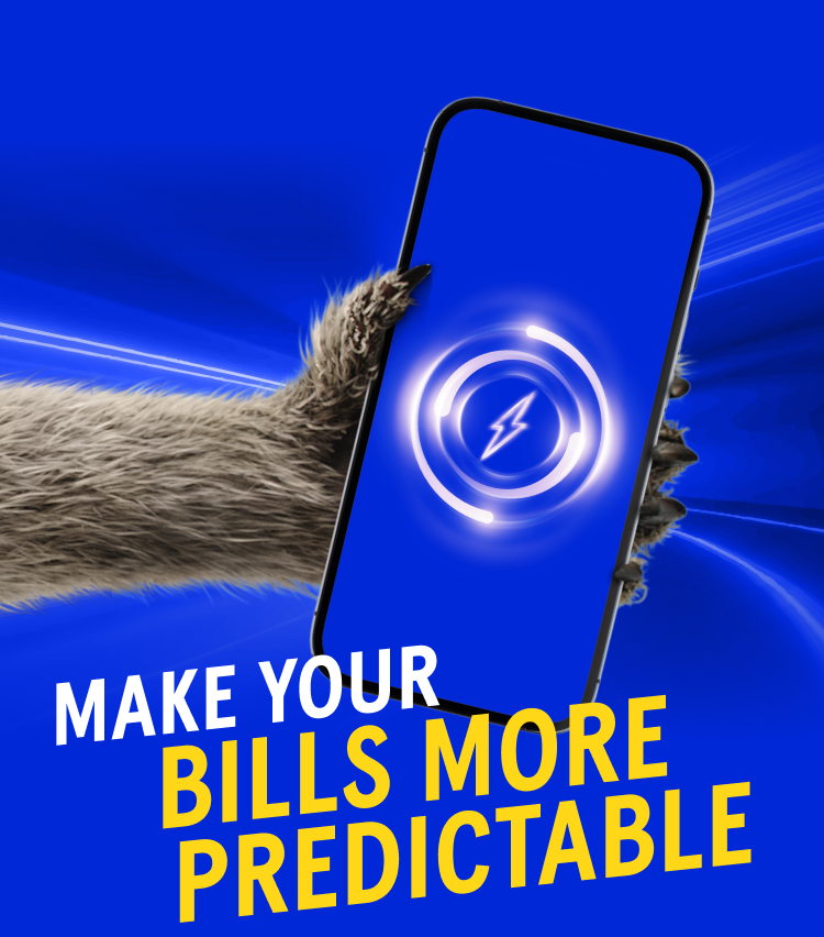 Make your bills more predictable
