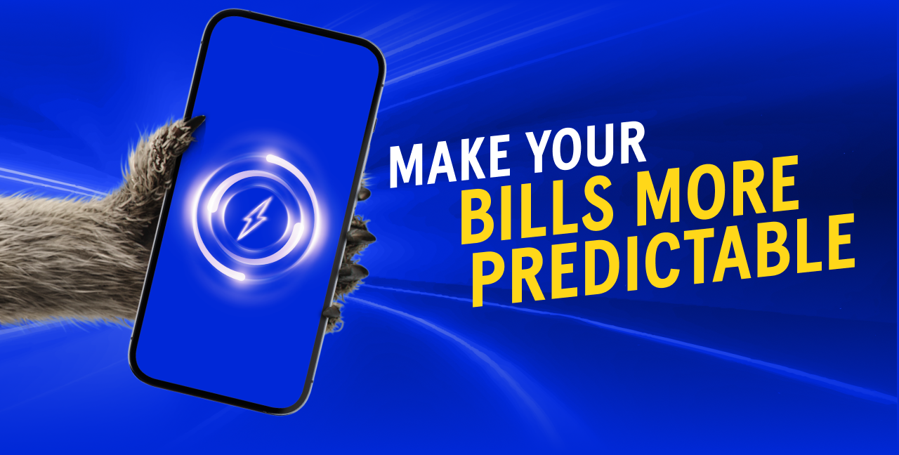 Make your bills more predictable