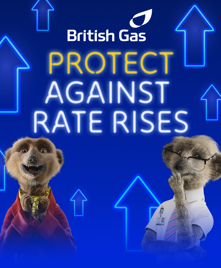 Protect against rate rises.