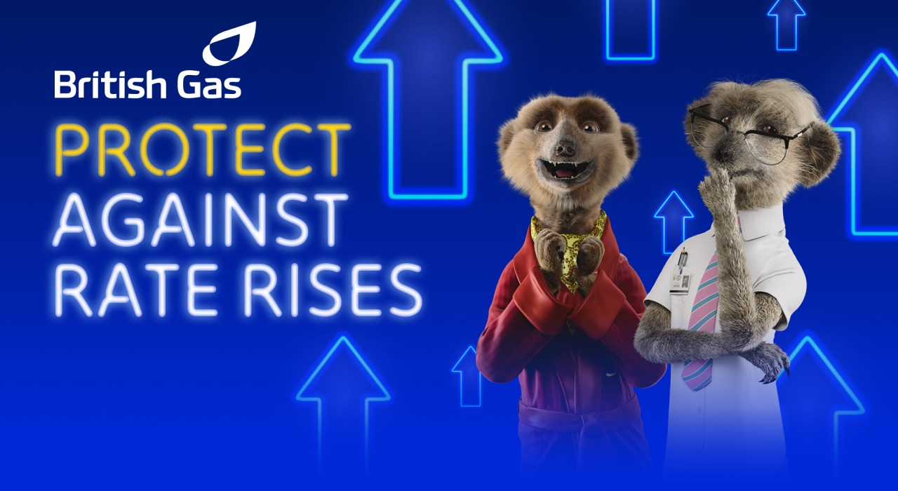 Protect against rate rises.