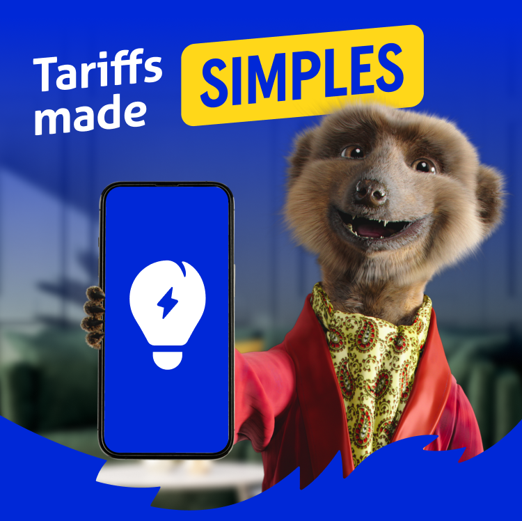 Tariffs made simples