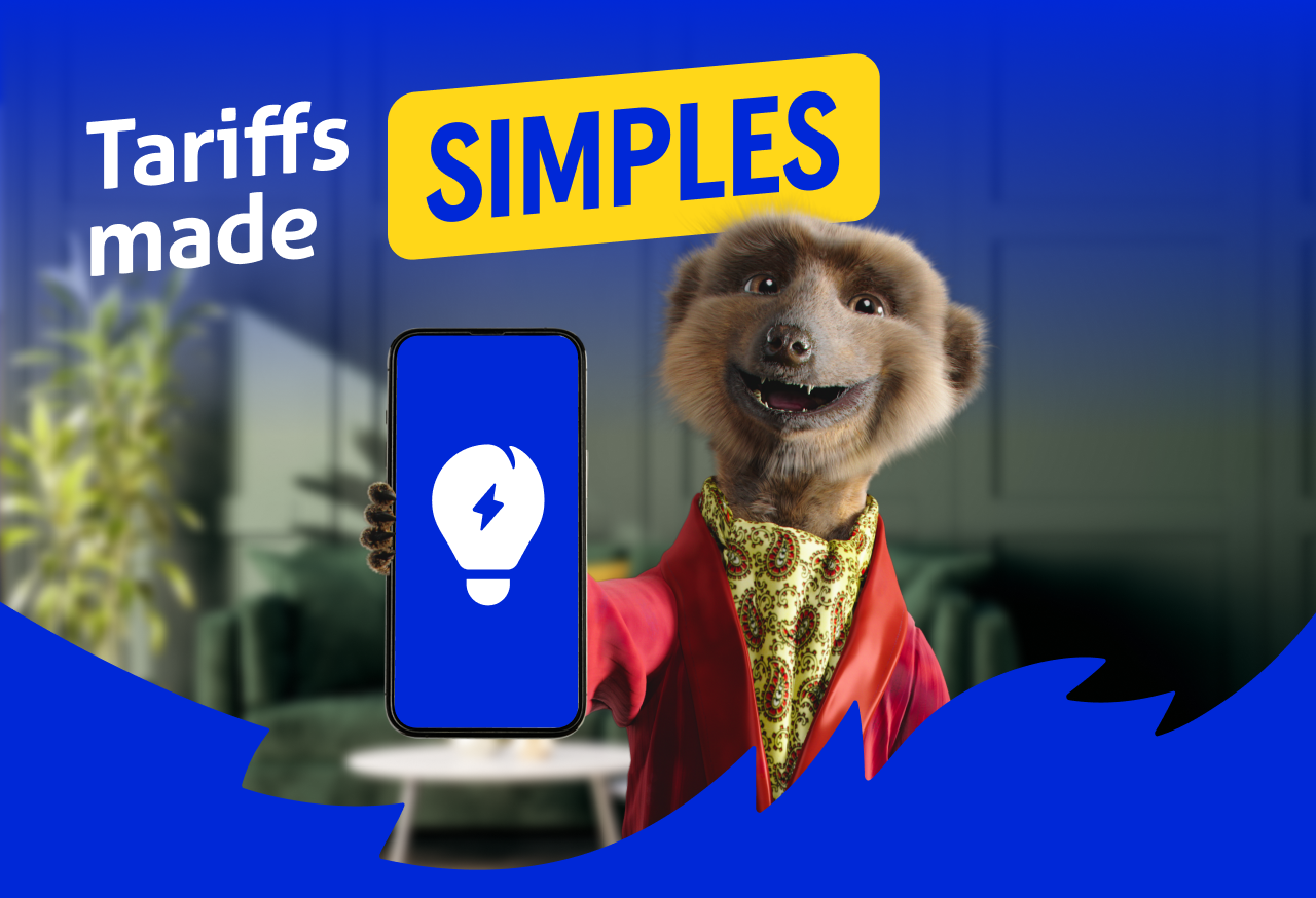 Tariffs made simples
