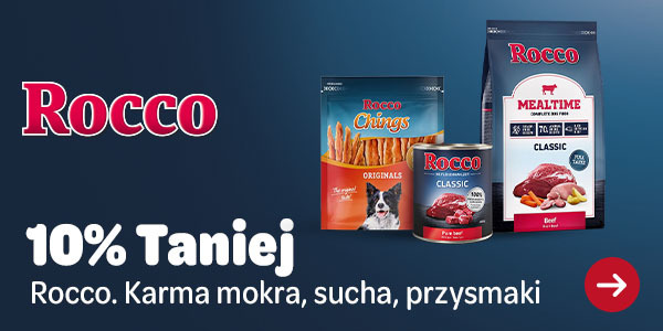 Main Banner