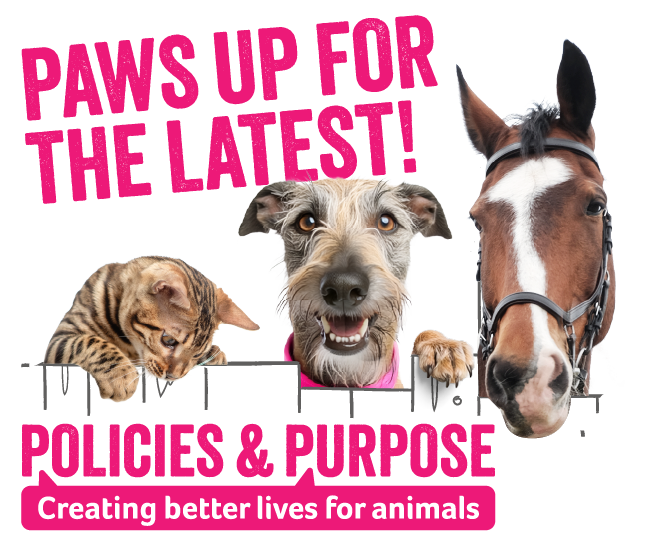 Policies and Purpose at Animal Friends